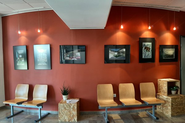 Zelene naložbe zdaj!