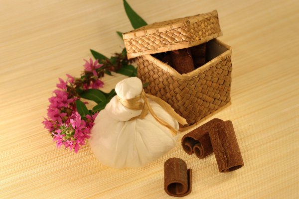 Gostujoče predavanje dr. Kalaskarja