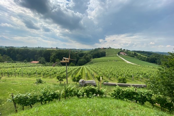 Svetovni dan turizma 2020: Turizem in razvoj podeželja