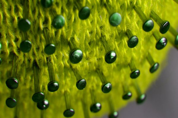 Vstop na fakulteto in navodila za samotestiranje