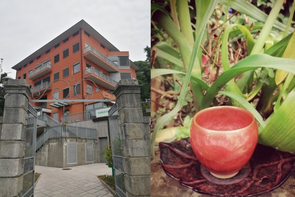 Skodelica čaja ob portonu Turistice