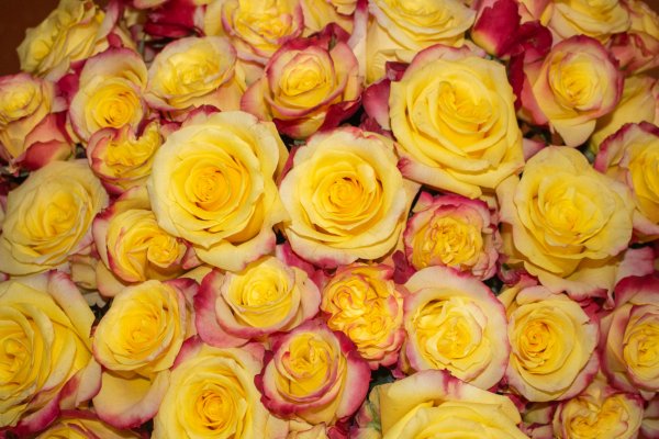 Svečana podelitev diplom na Turistici