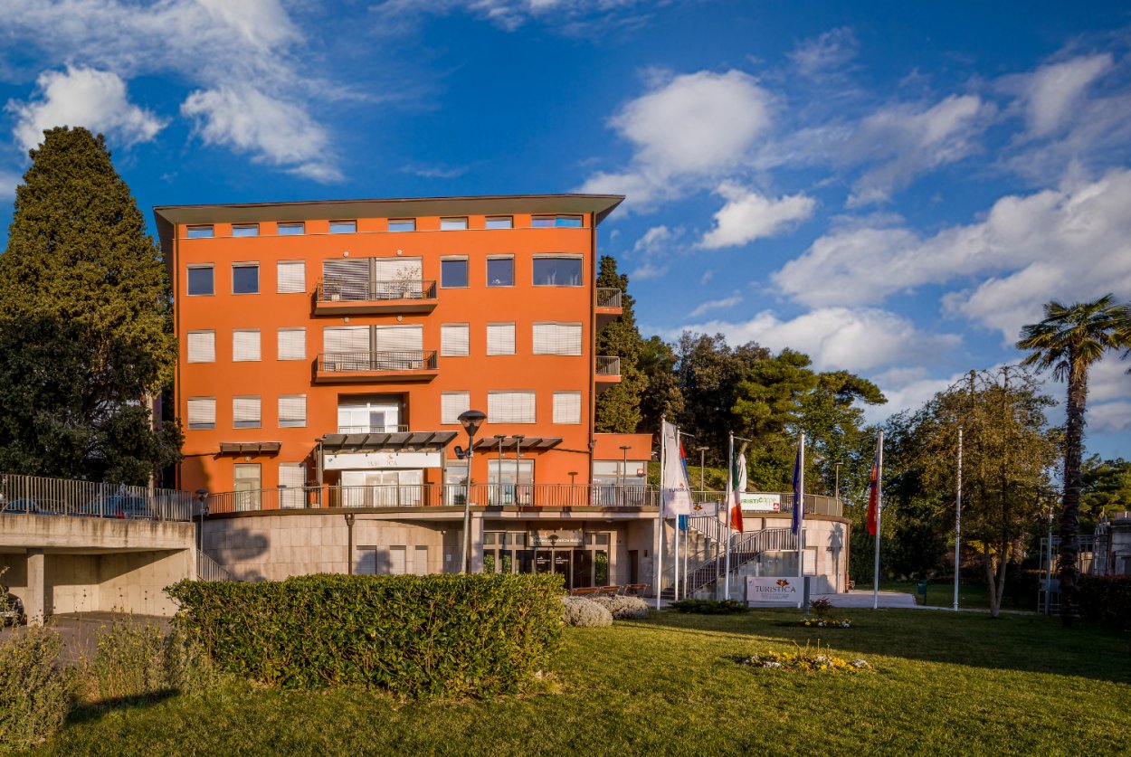 volutpat auctor aliquam lectus efficitur rhoncus