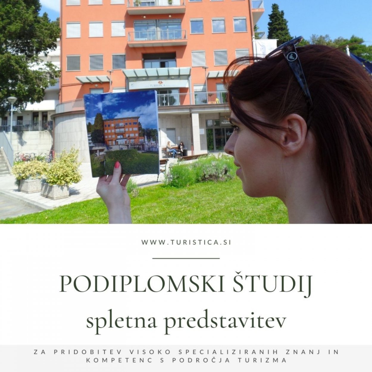 id est scelerisque commodo