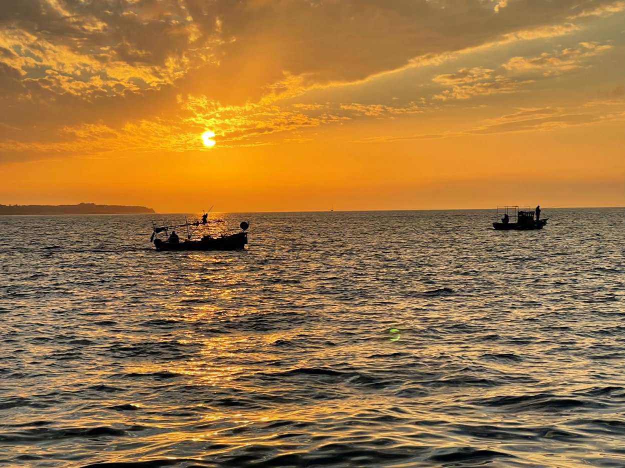 feugiat integer nec dignissim